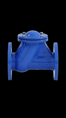 BS DIN บอลเช็ควาล์วที่นั่งยาง GGG50 PN16 QT450 น้ำเสียน้ำมัน Gas
