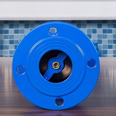 Ggg40 วาล์วตรวจสอบท่อไอเสีย Double Flange Dn100 ไม่มีเช็ควาล์วกลับ