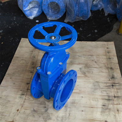 Pn16 Pn10 QT450 GGG40 วาล์วประตูที่นั่งแบบยืดหยุ่น Threaded Handwheel ลวดทองแดง Inner