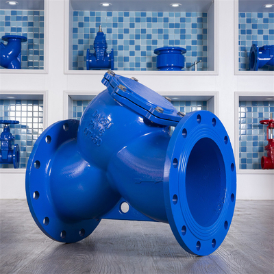 Cuctile Iron Dn250 Strainer Y Type Flanged Ss304 วาล์วกรอง Ggg50 Class 150