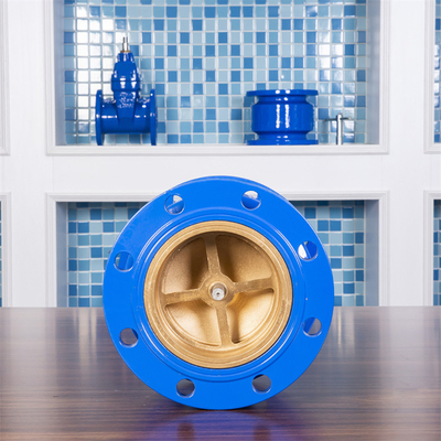 DN50 แหล่งน้ำ Silent Check Valve One Way Flow Backstop แนวตั้งแนวนอน PN16